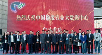 北京電子信息職業(yè)教育集團(tuán) 打造產(chǎn)教融合新生態(tài)，賦能教育信息服務(wù)升級(jí)